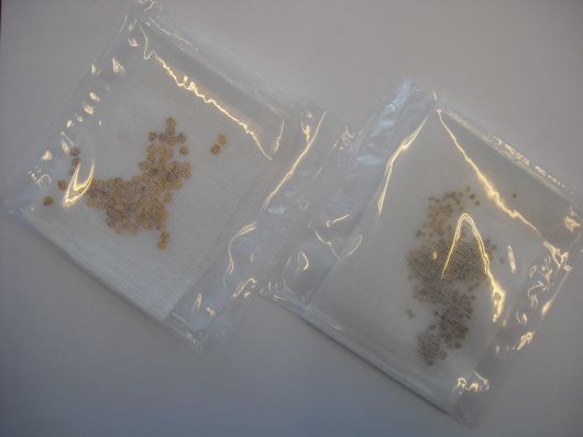 Filled Extraction Bags